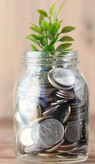 Coin Jar Plant